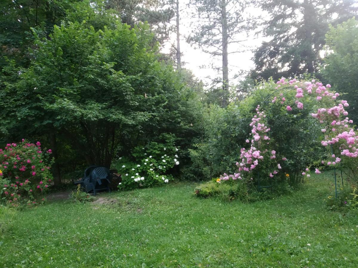 Apartmani Eho Zlatibor Exterior photo